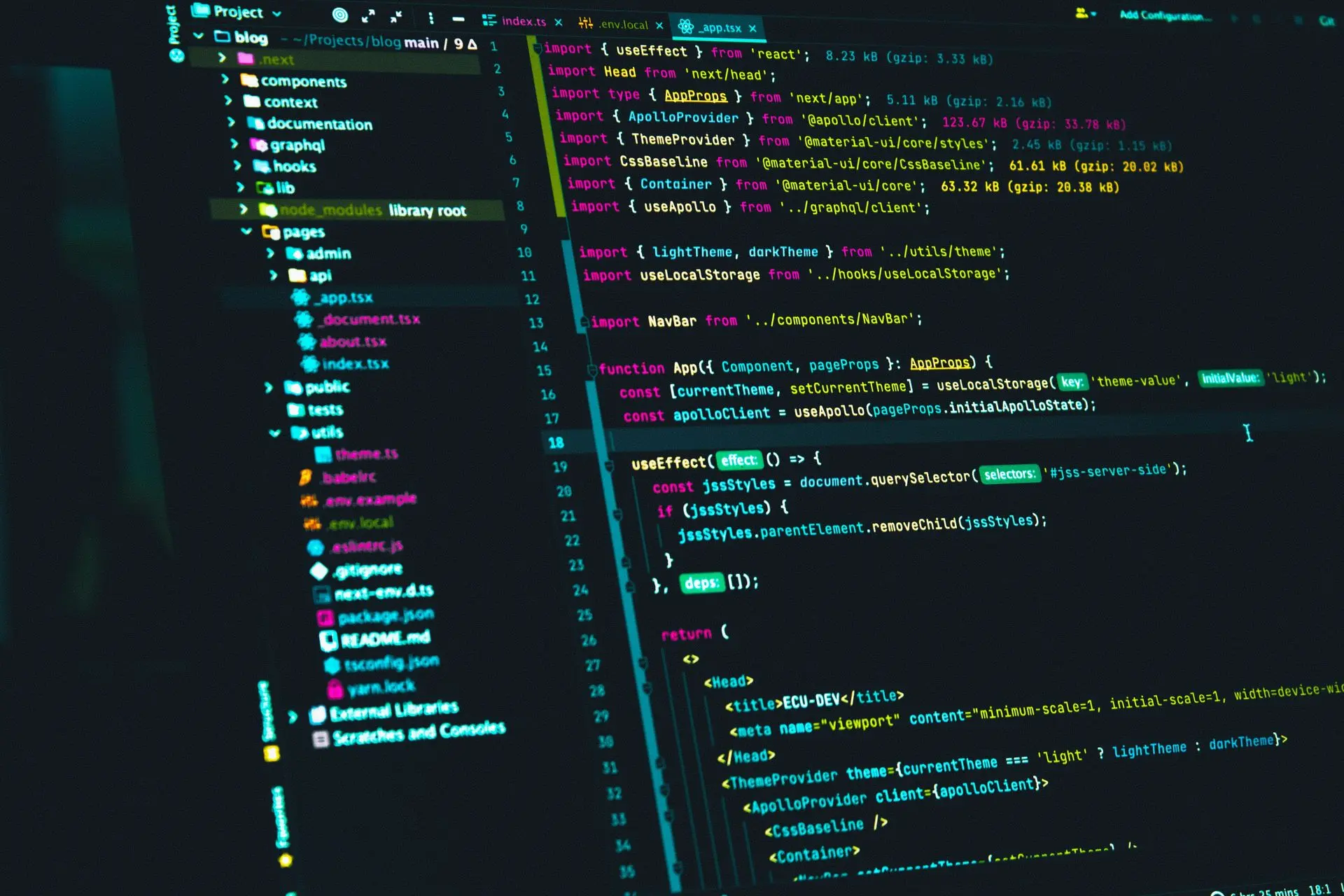 Developer