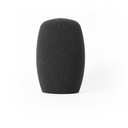 Schulze-brakel Windscreen WS7033